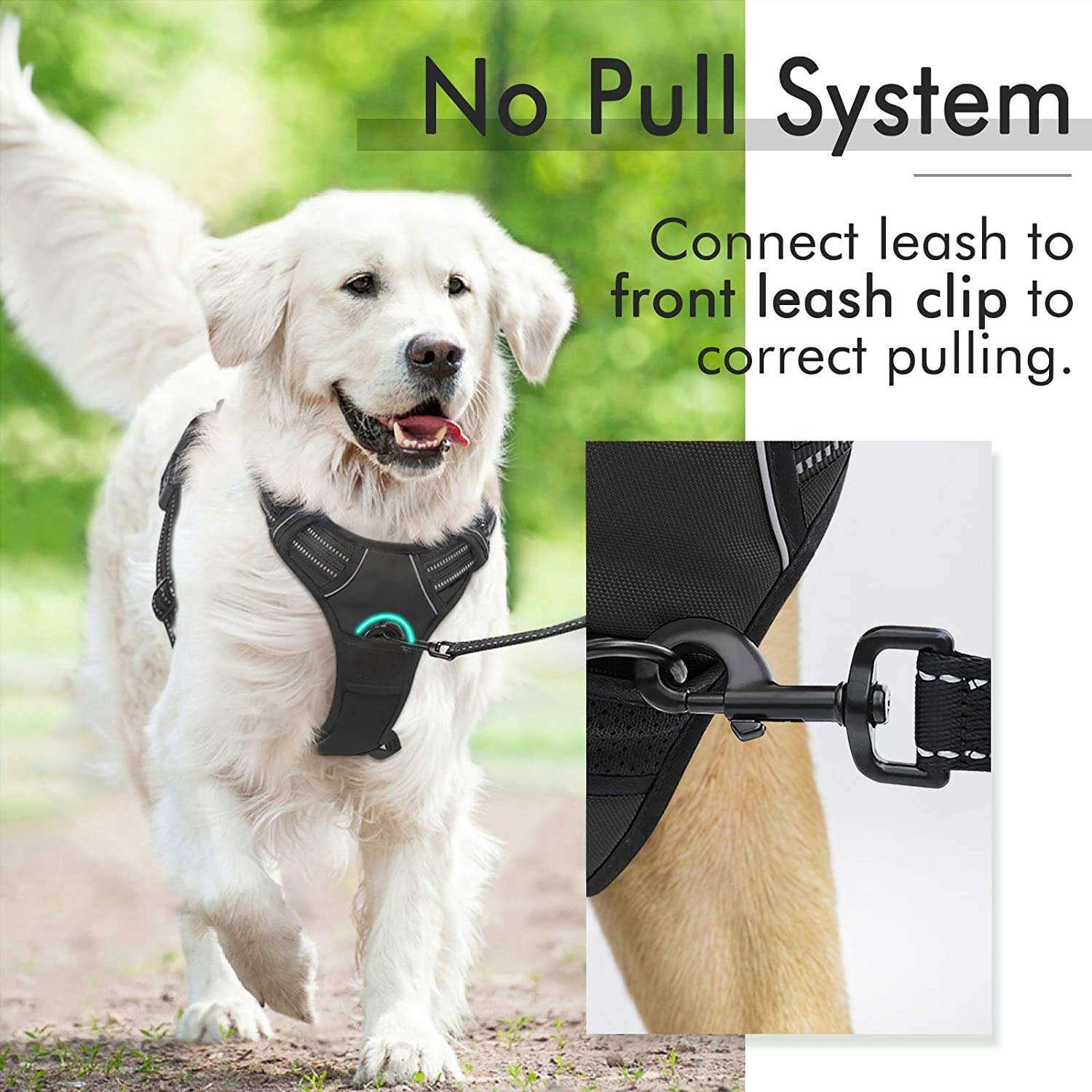 Dog Leash Reflective Anti-Break Free Large Dog Chest Strap thumbnail 3
